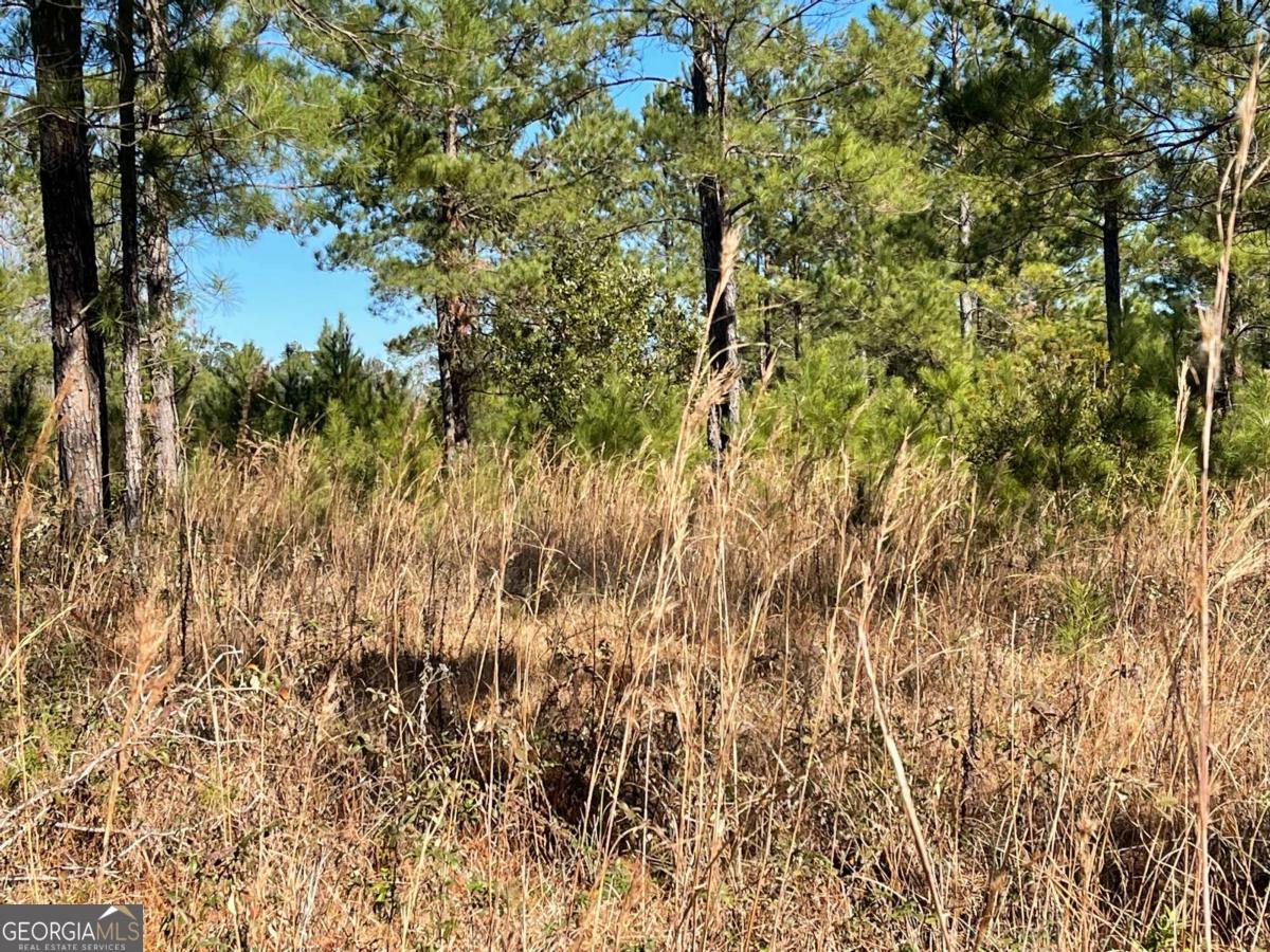 0 Landing Trail Property Photo 1
