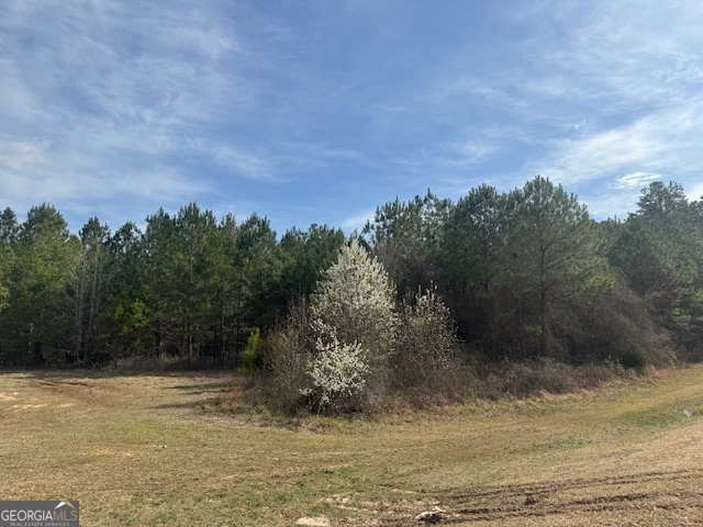 39 Brush Creek Park Road Property Photo