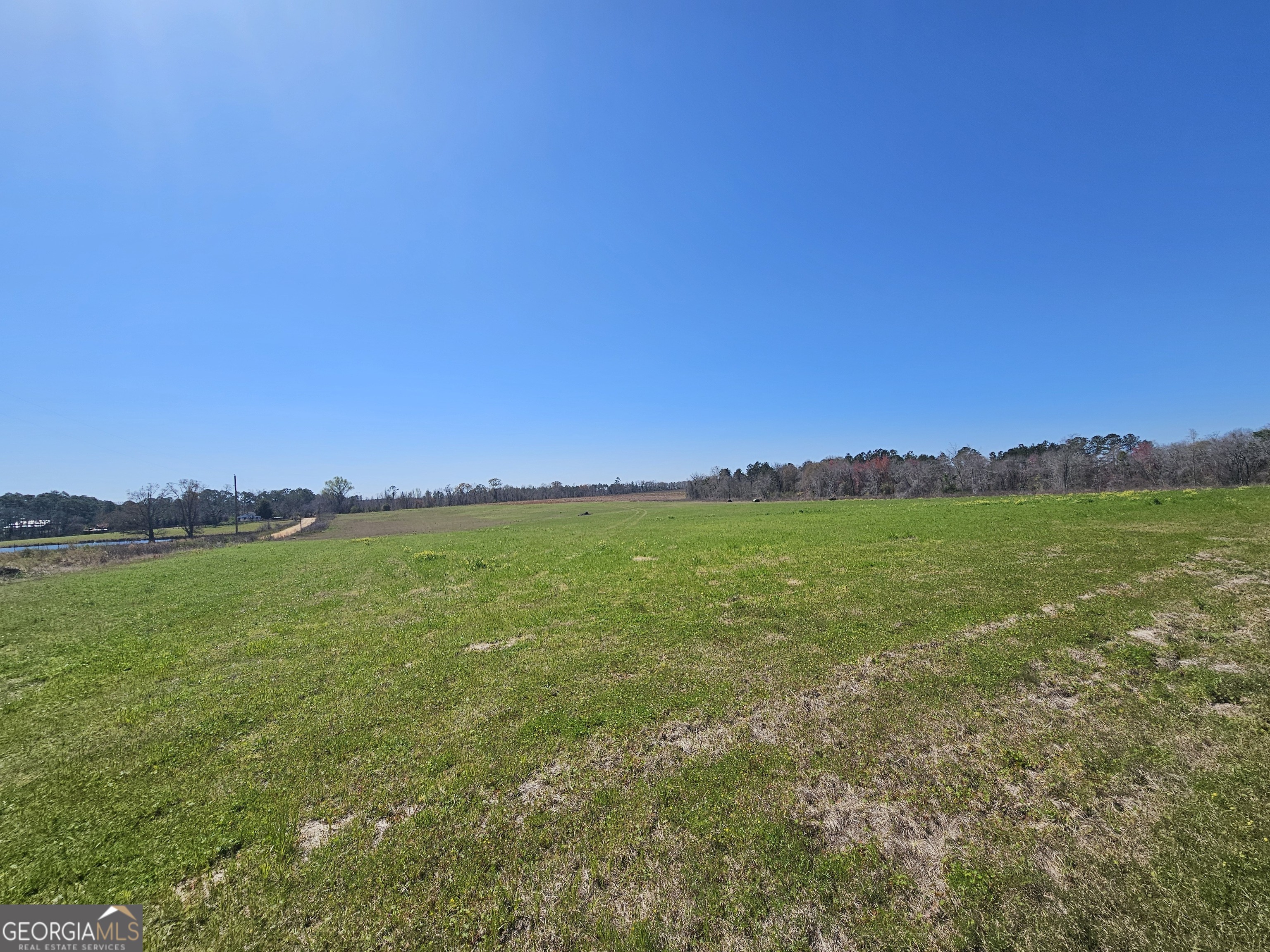 31712 Real Estate Listings Main Image