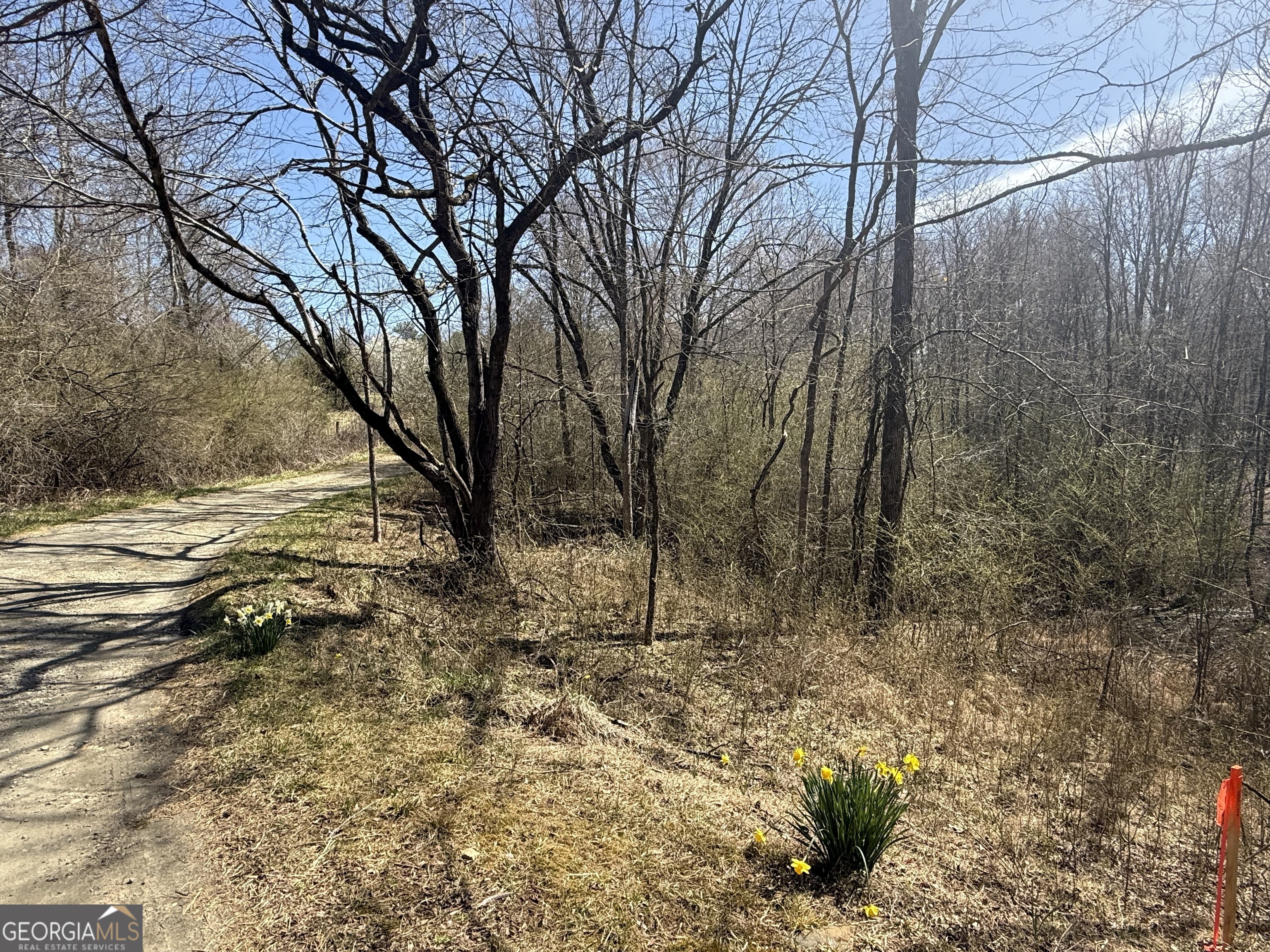 0 Riverwood Road Property Photo