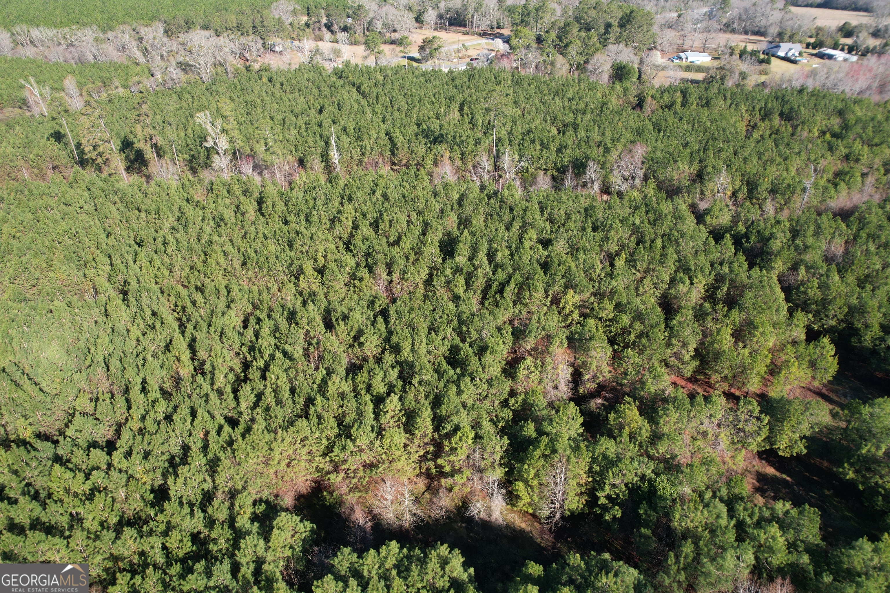 0 Burtons Ferry Highway Property Photo 4
