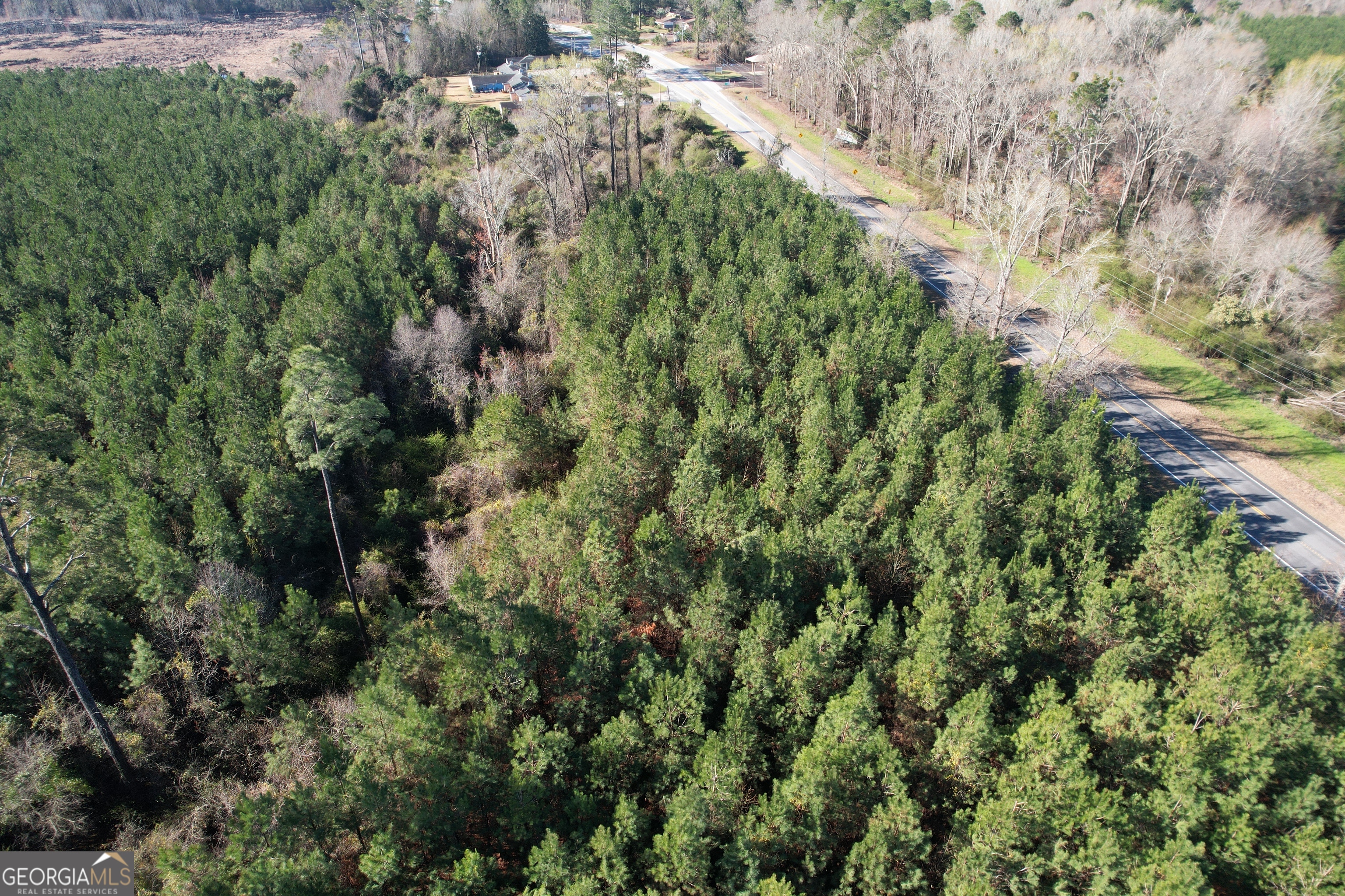 0 Burtons Ferry Highway Property Photo 6