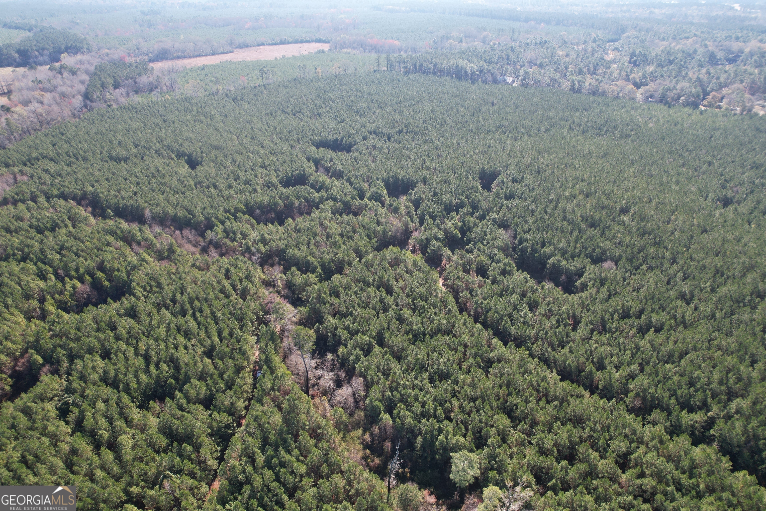 0 Burtons Ferry Highway Property Photo 8