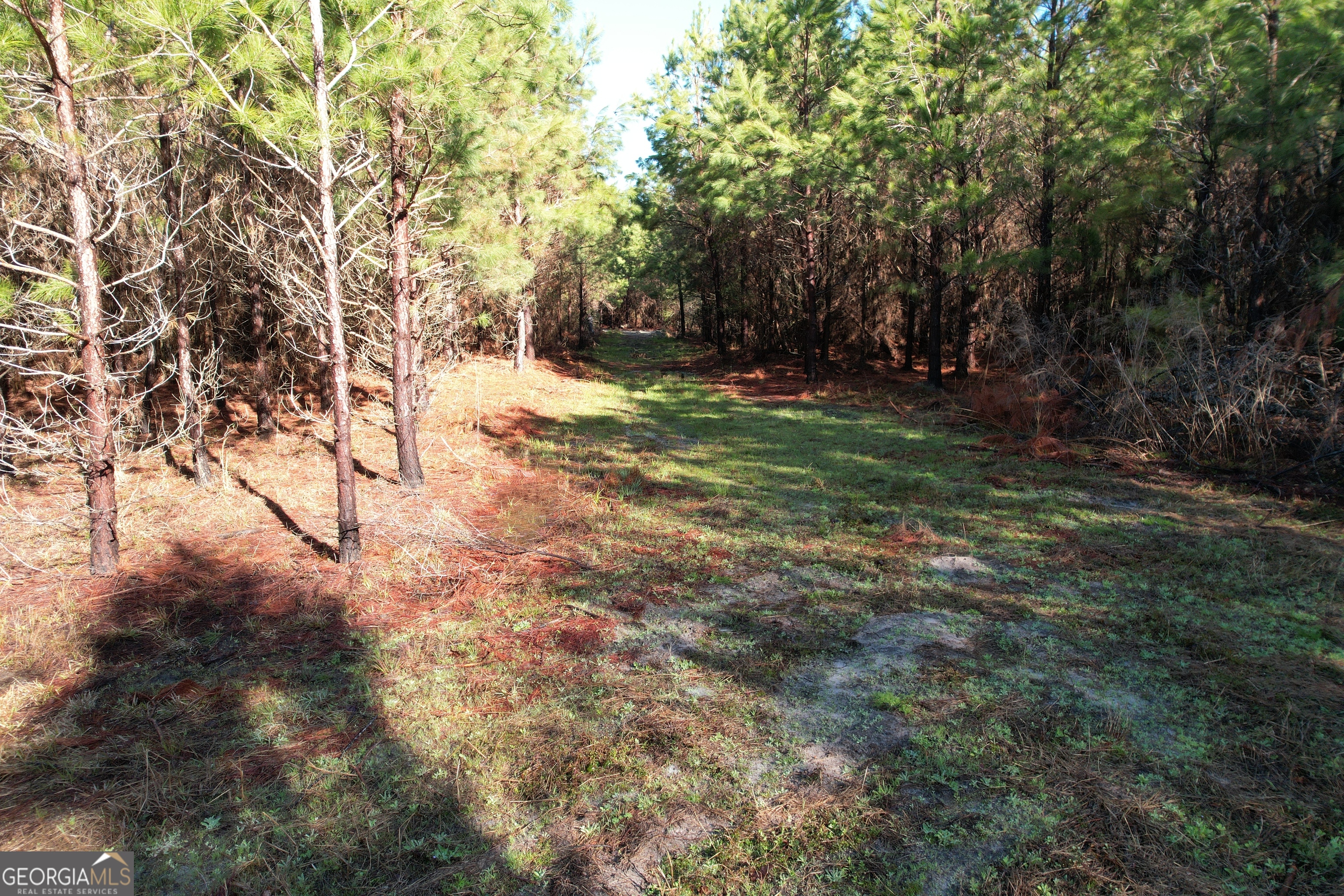 0 Burtons Ferry Highway Property Photo 10