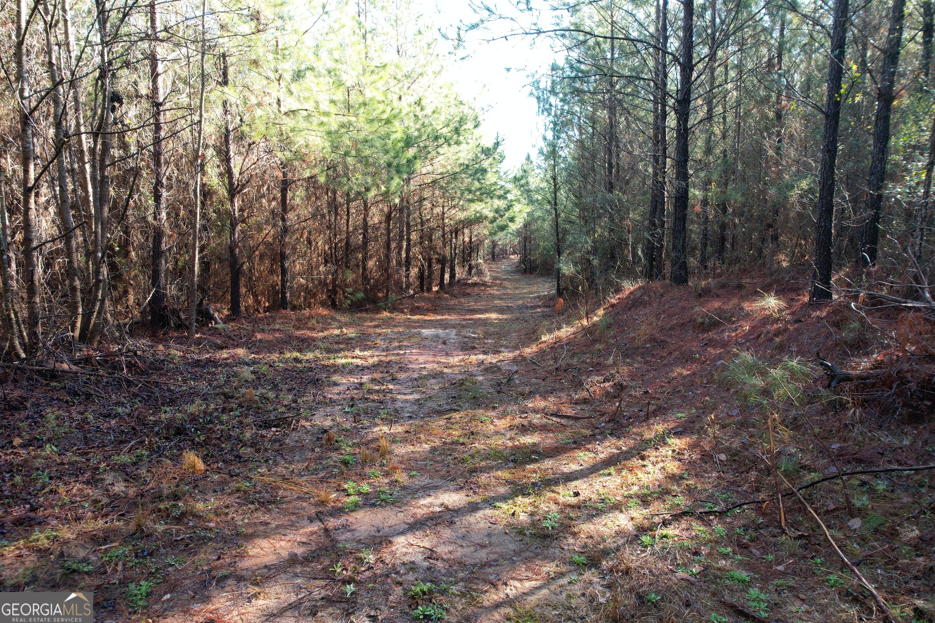 0 Burtons Ferry Highway Property Photo 11