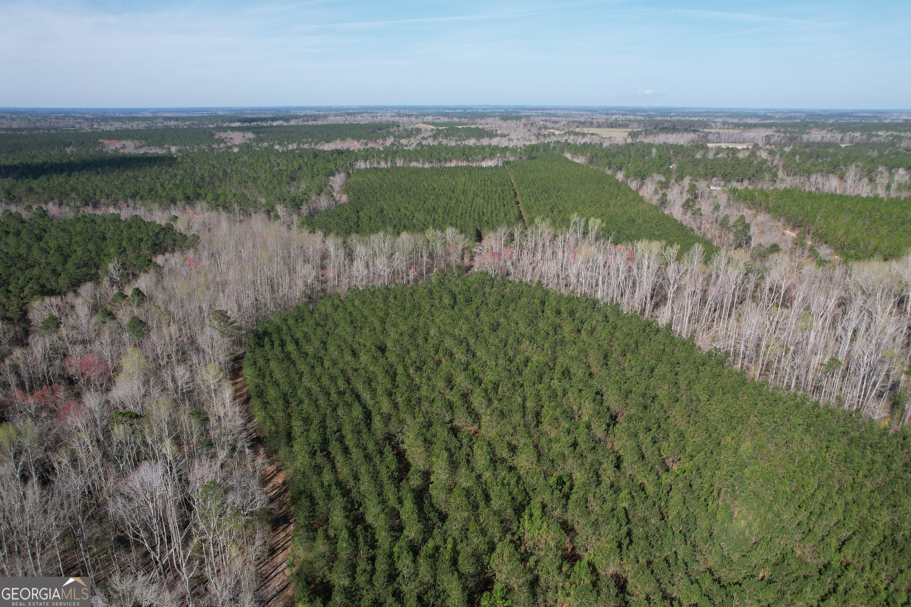 Emanuel County Inst Real Estate Listings Main Image