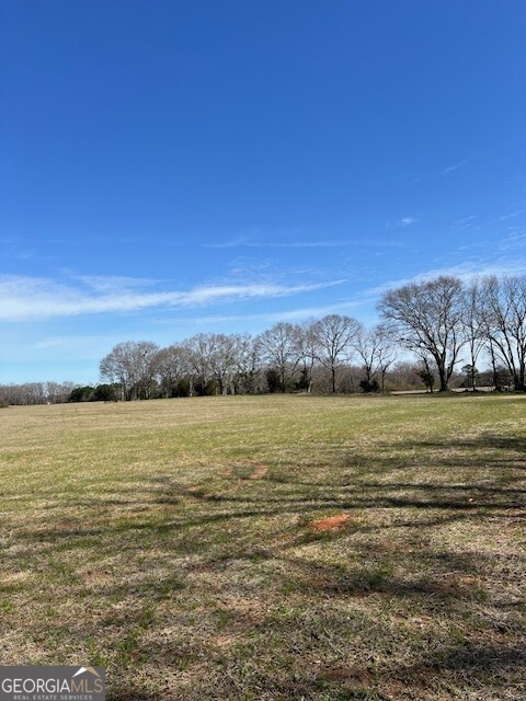 1042 Woodlawn Road Property Photo