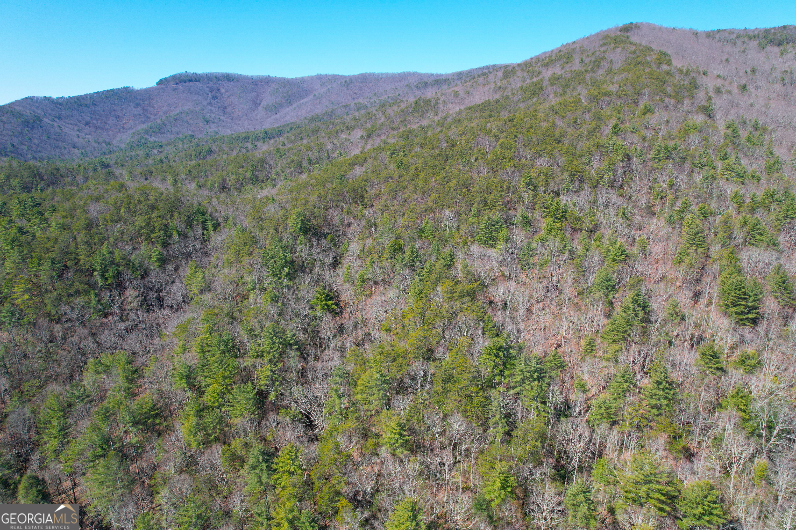 156 +/- Acres Off Peeples Lake Road Property Photo