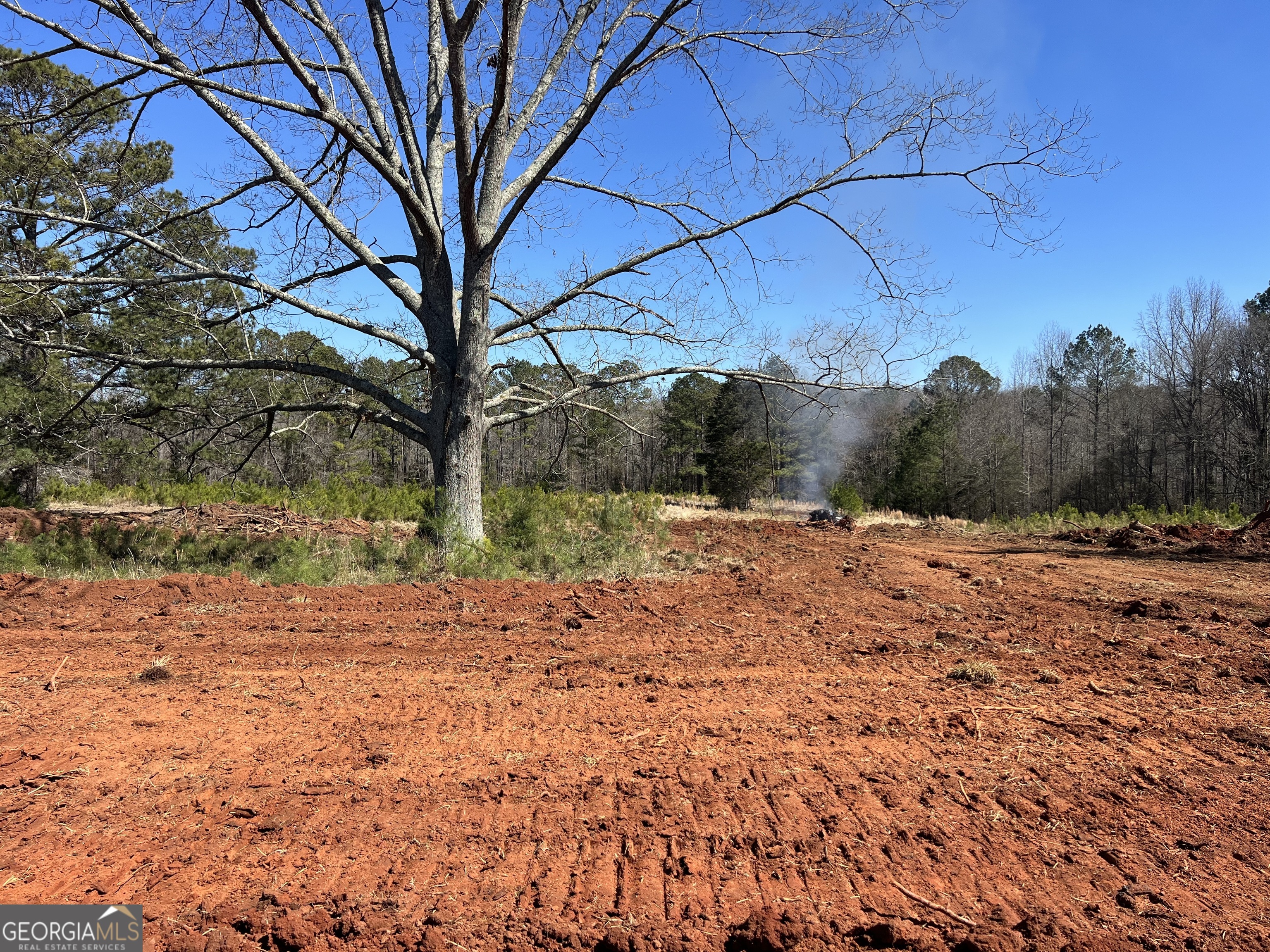 Lot 22 Millie Trail Property Photo