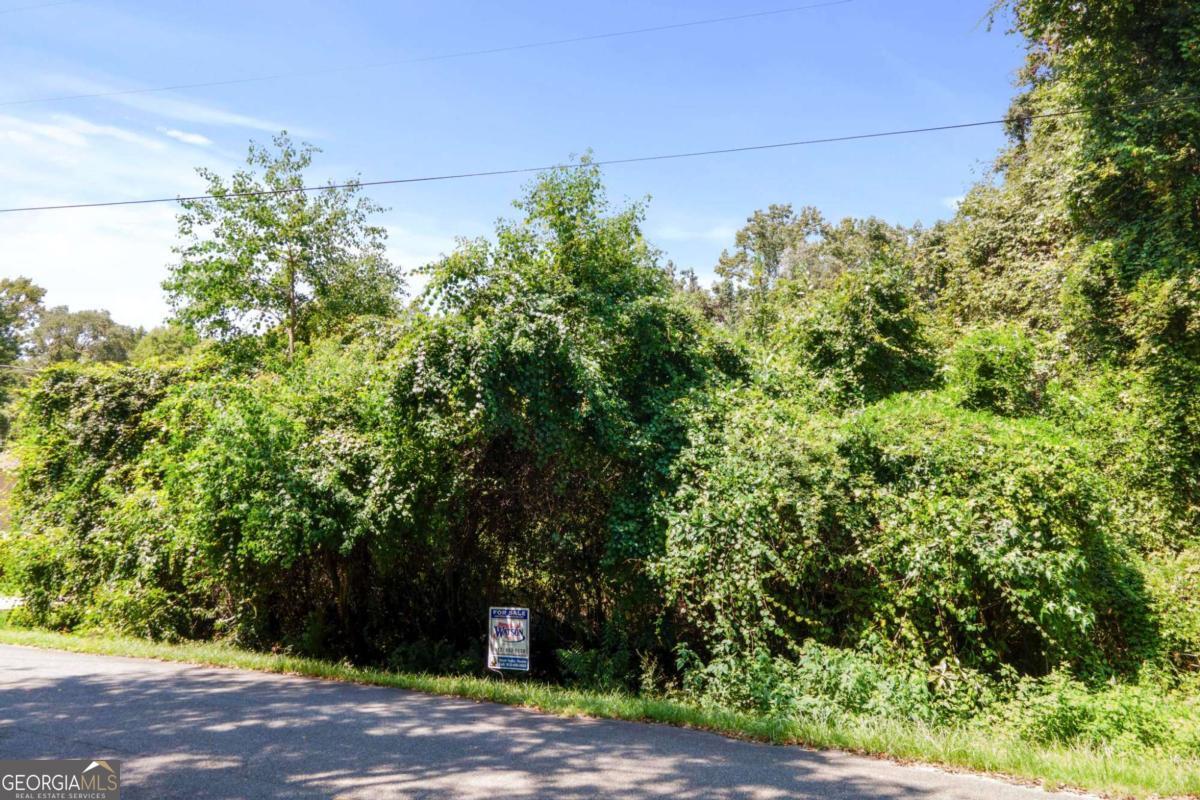 927 Point Peter Road Property Photo 12