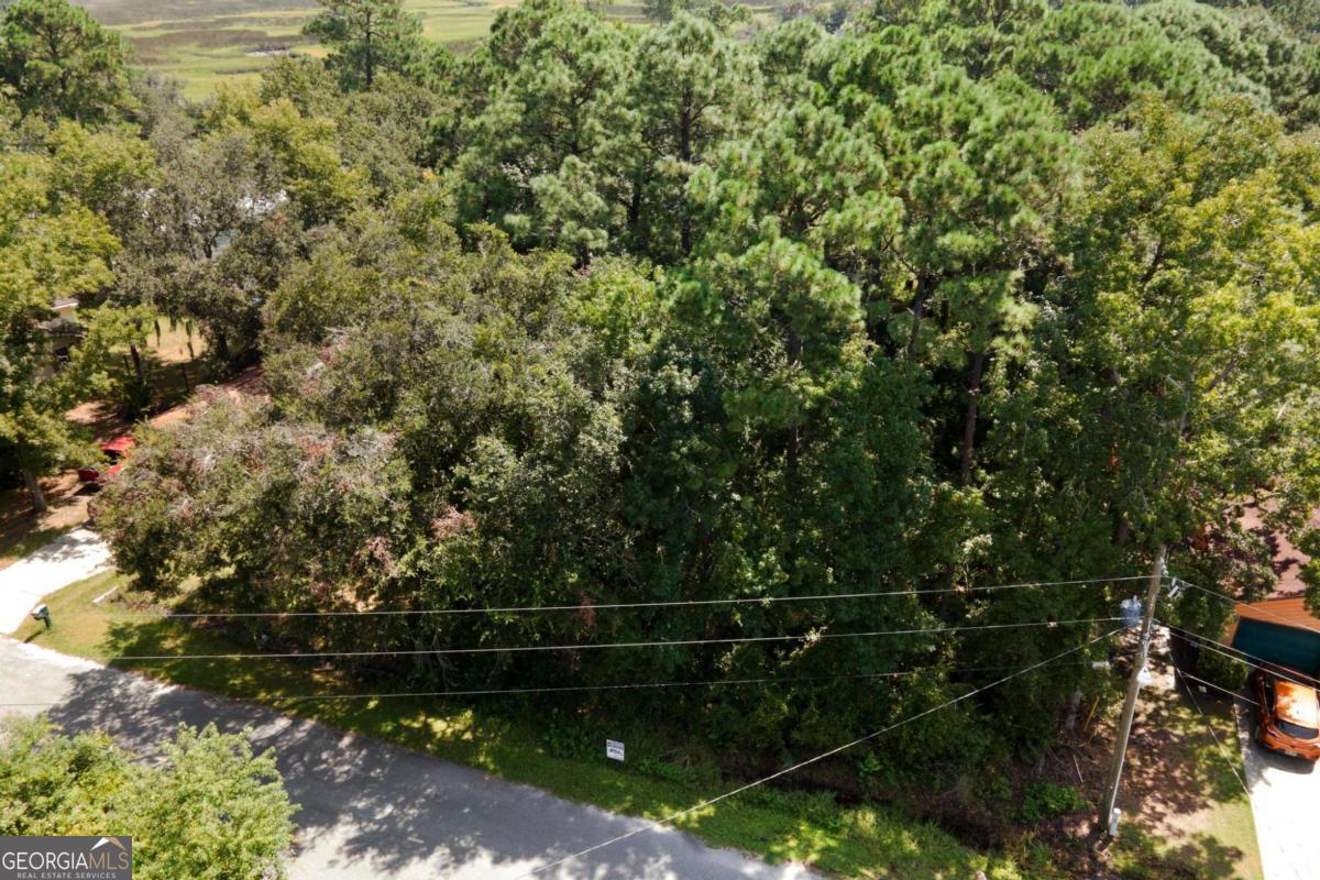 927 Point Peter Road Property Photo 15