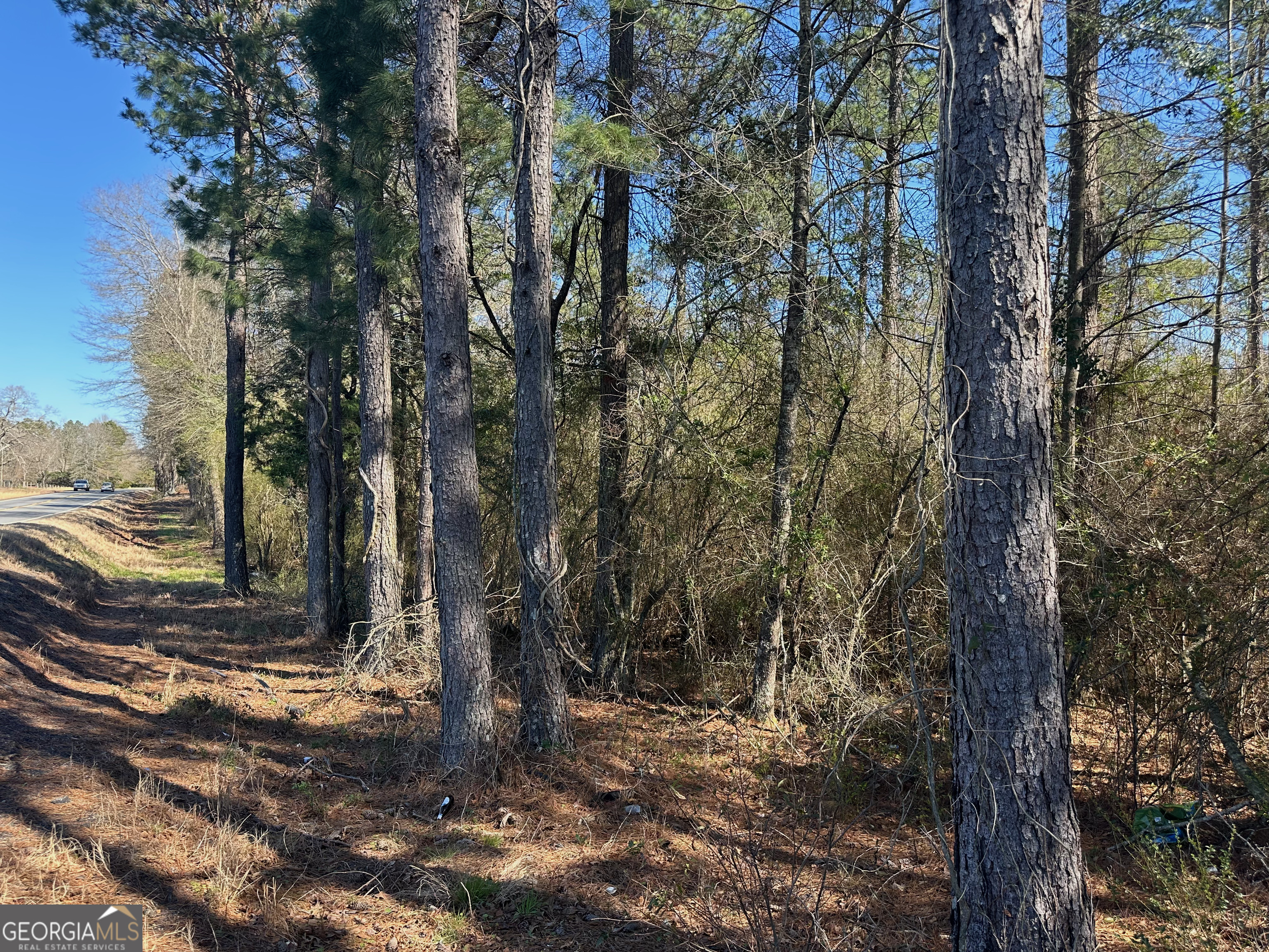 0 Ga Highway 18 Property Photo