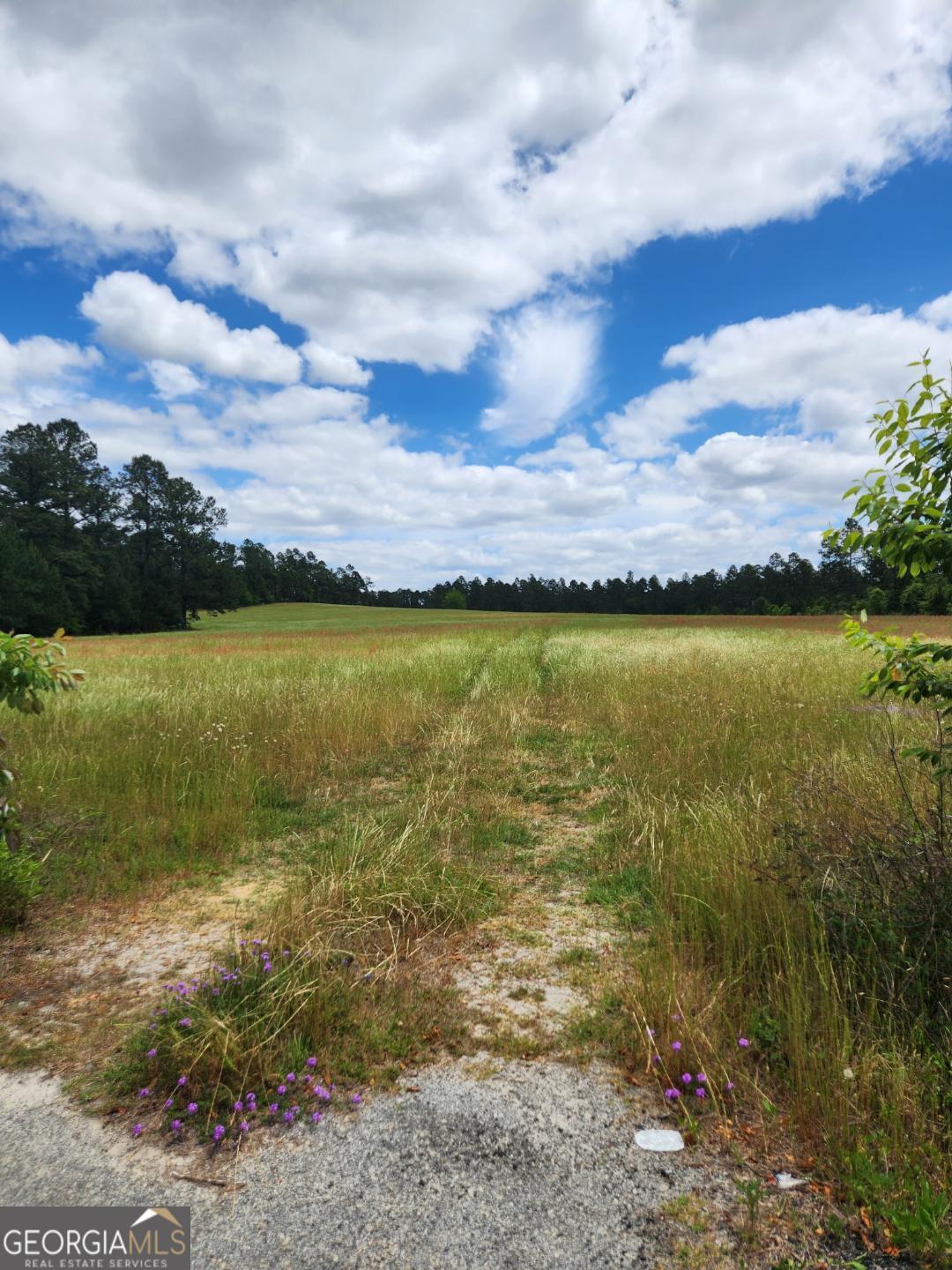 0 Stingray Road Property Photo