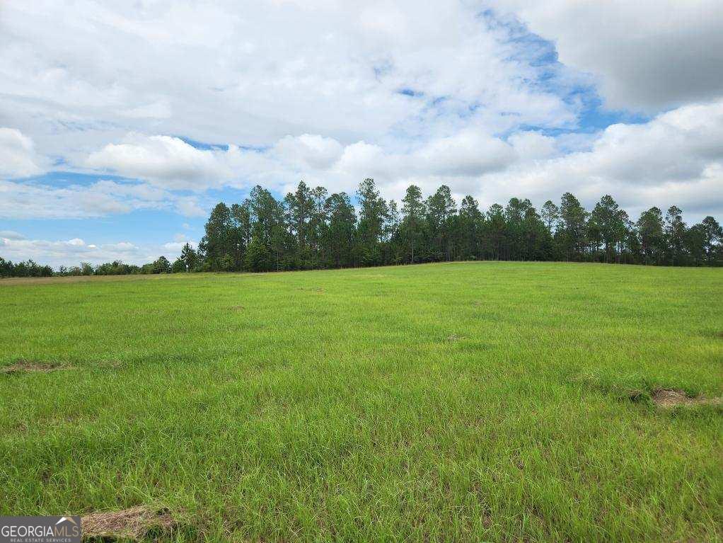 0 Mixon Road Property Photo