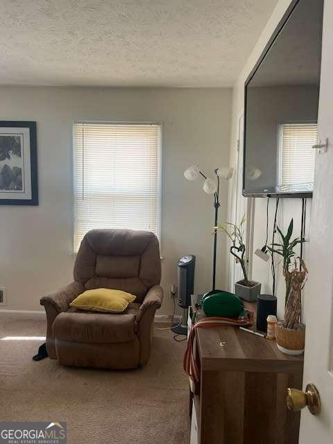 5293 Ridge Forest Drive Property Photo 30