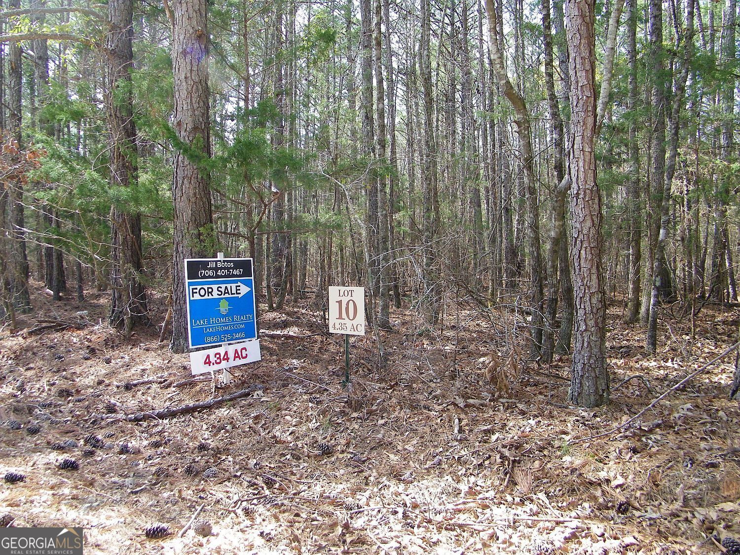 Lot 10 Blackberry Bend Property Photo