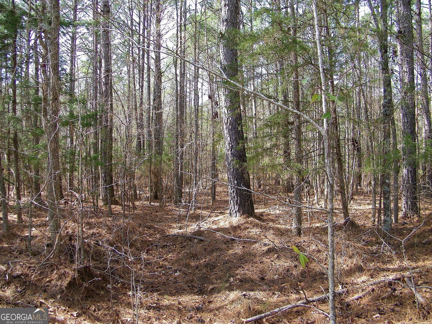 Lot 10 Blackberry Bend Property Photo 3