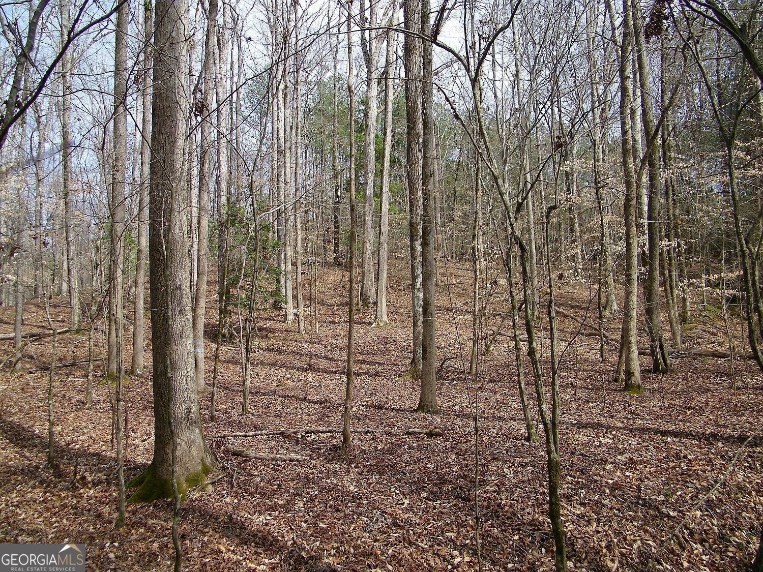 Lot 10 Blackberry Bend Property Photo 8