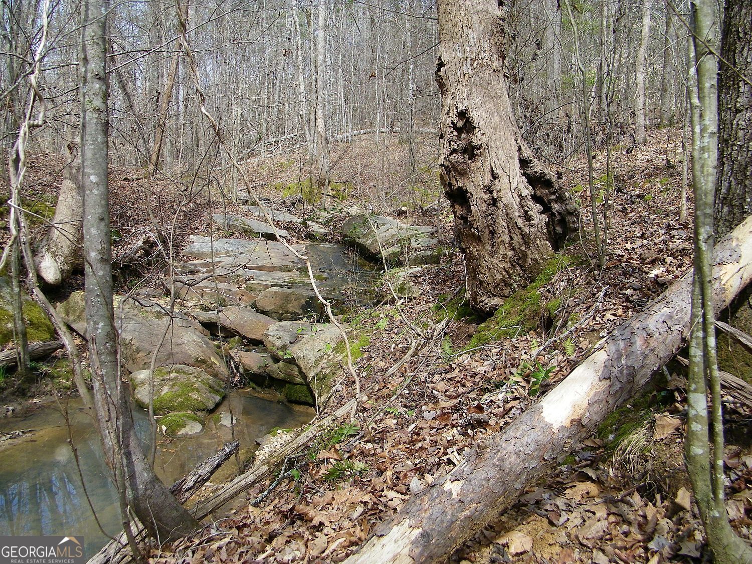 Lot 10 Blackberry Bend Property Photo 10