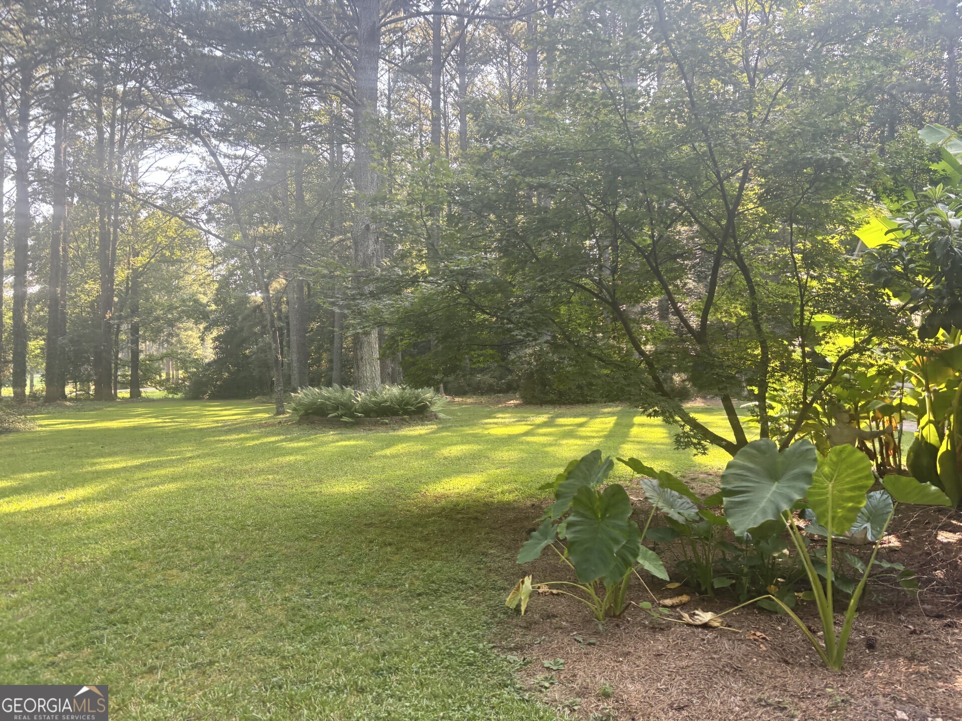 230 White Road Property Photo 2