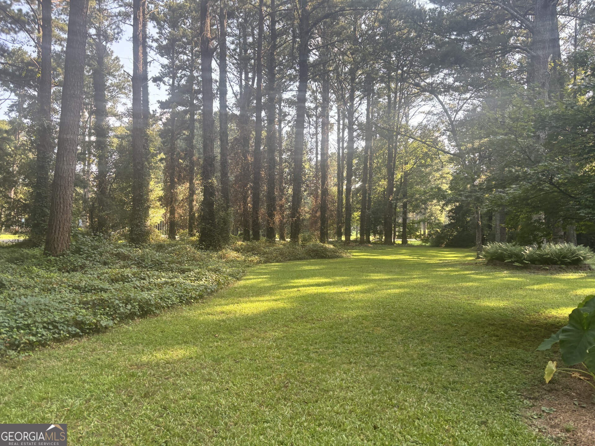 230 White Road Property Photo 3
