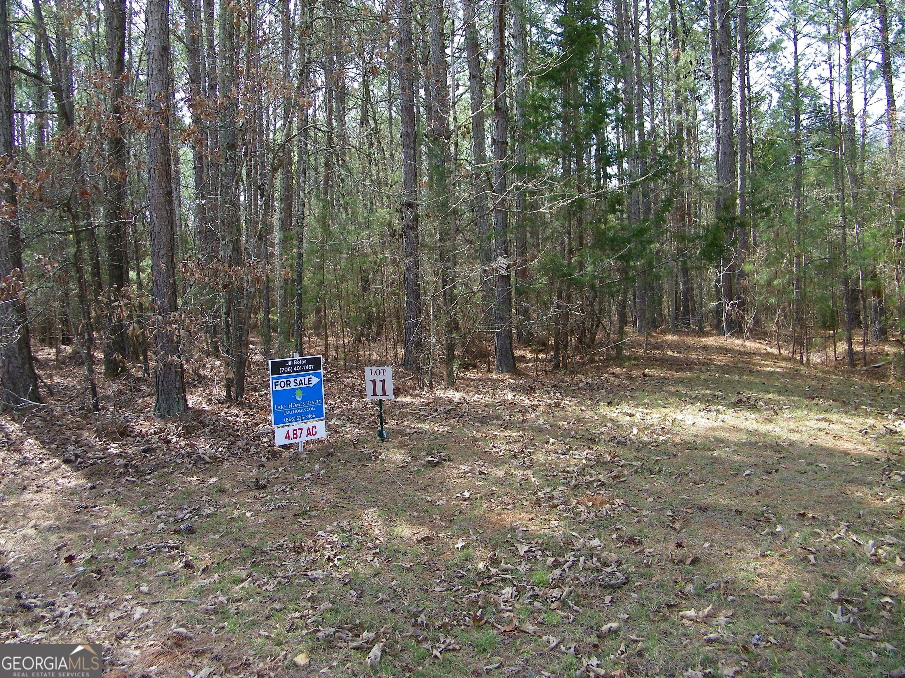 Lot 11 Blackberry Bend Property Photo 2