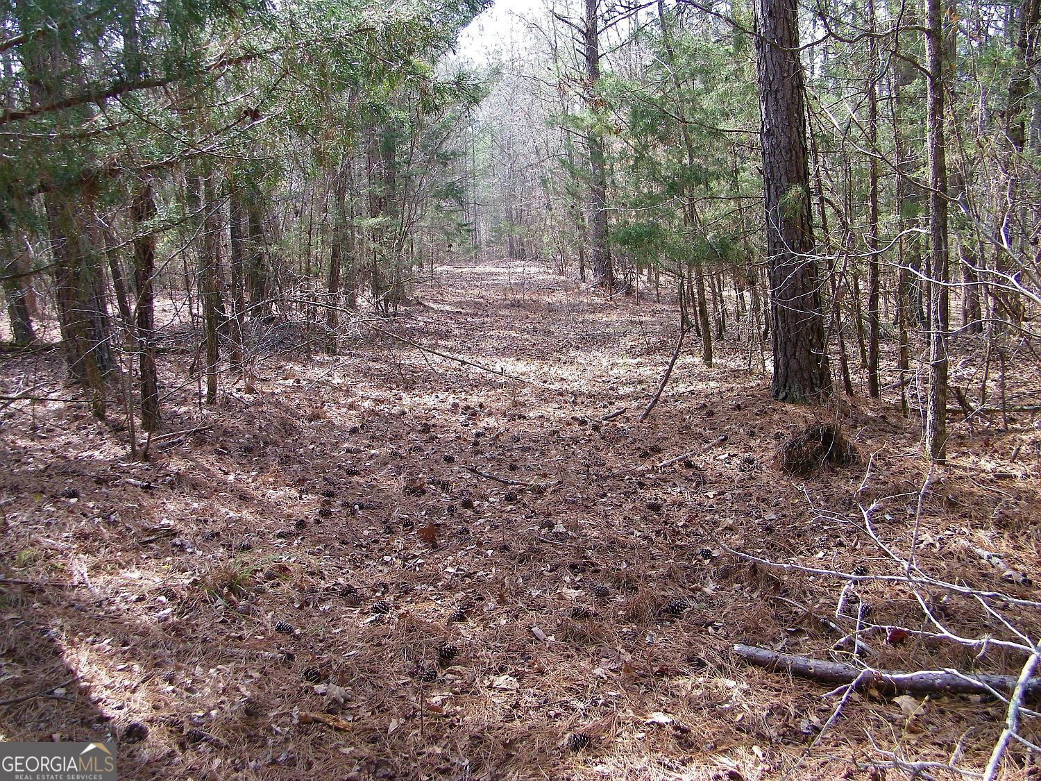Lot 11 Blackberry Bend Property Photo 3