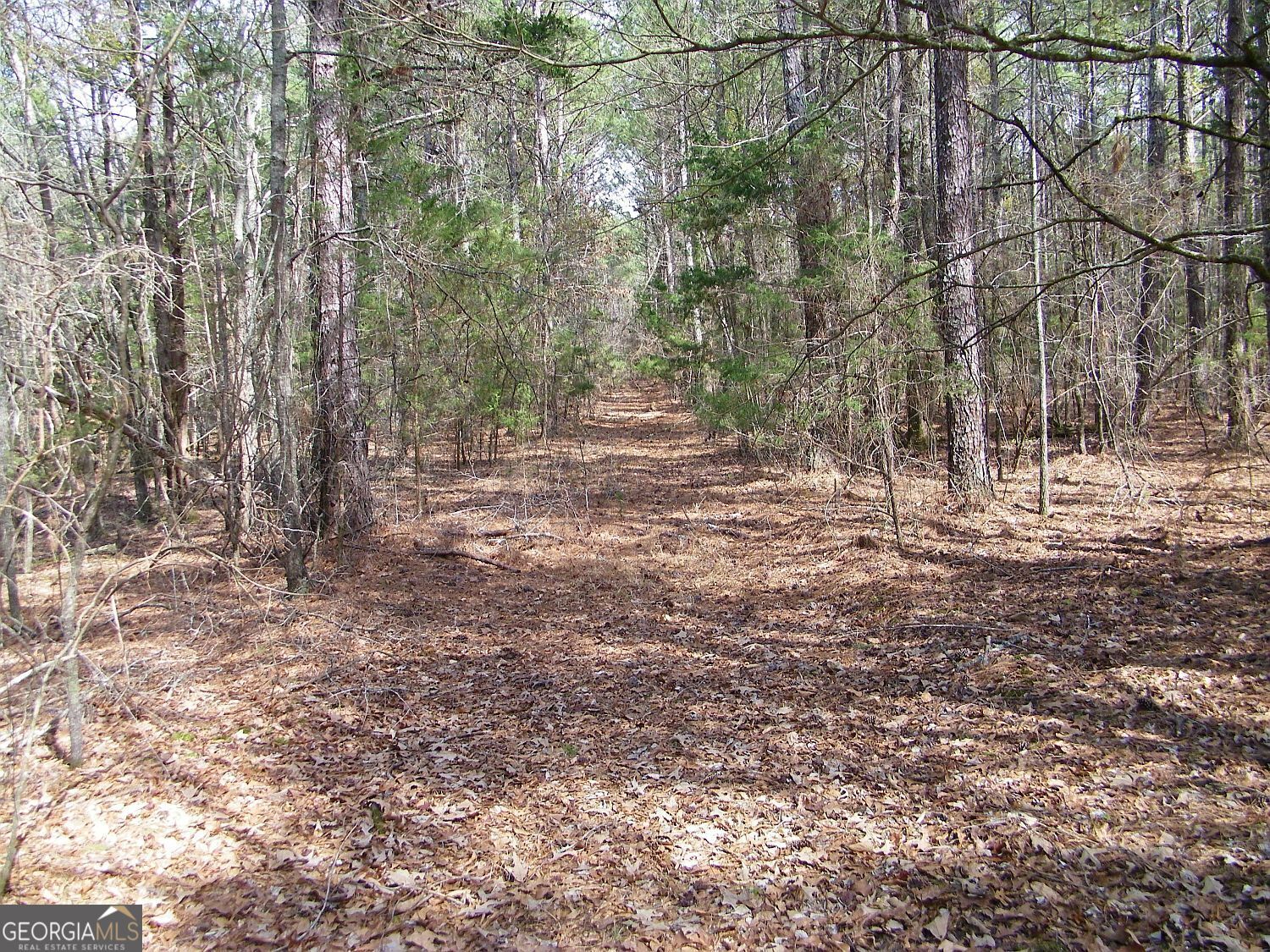 Lot 11 Blackberry Bend Property Photo 4
