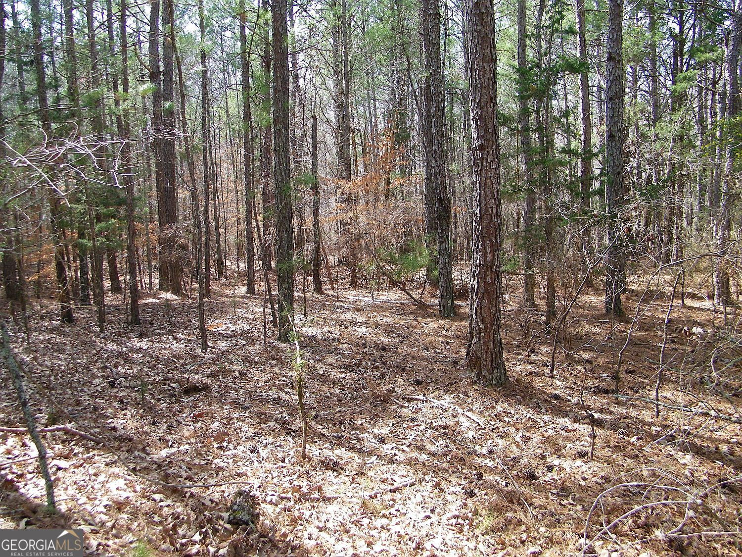 Lot 11 Blackberry Bend Property Photo 5
