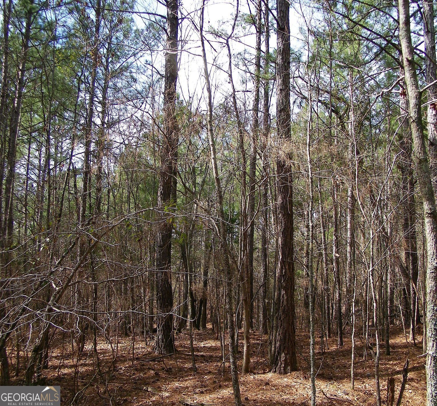 Lot 11 Blackberry Bend Property Photo 6