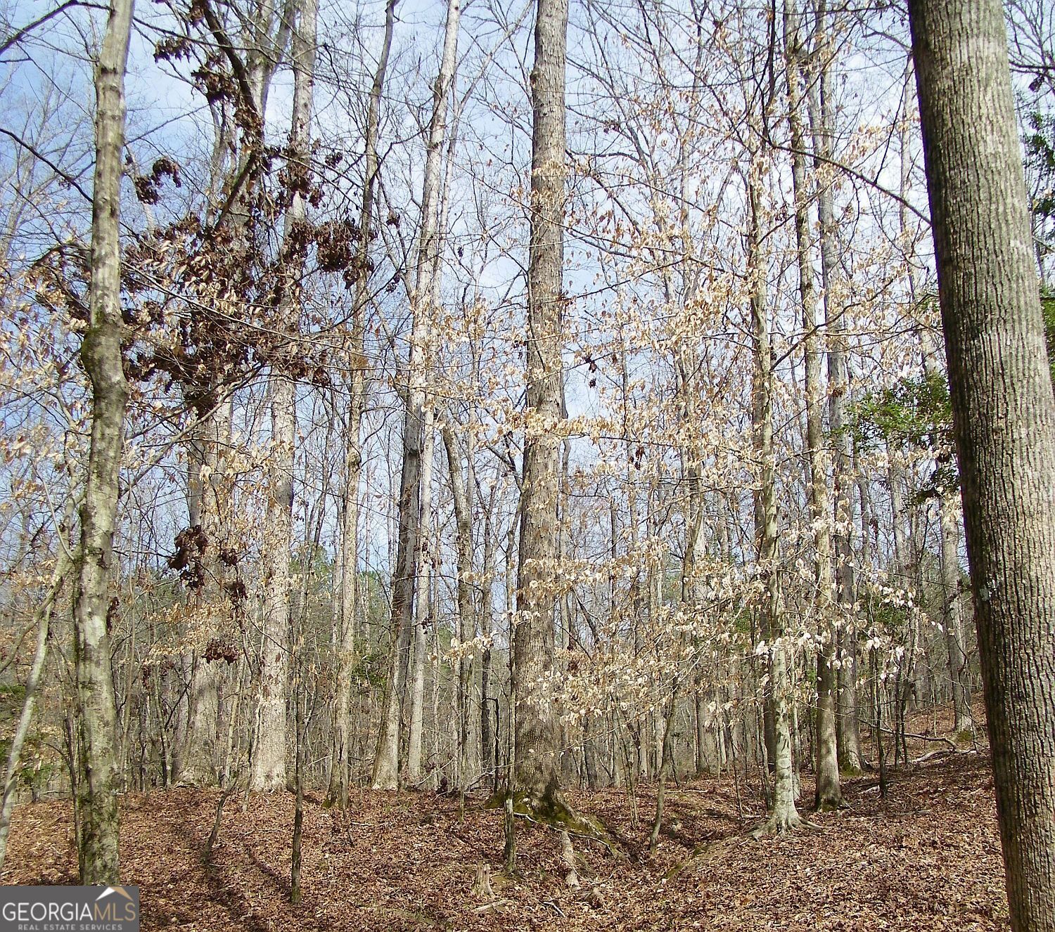 Lot 11 Blackberry Bend Property Photo 7