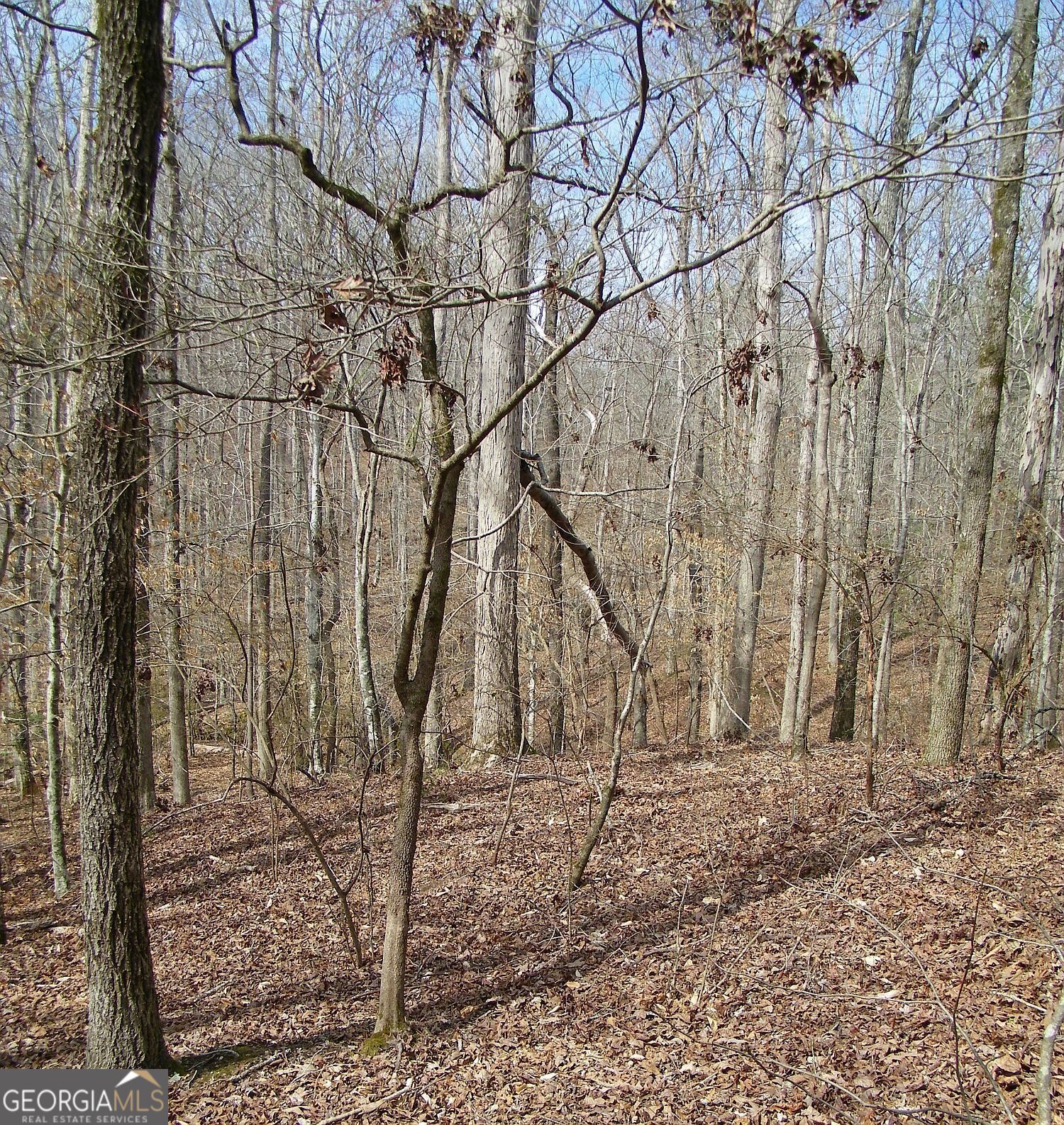 Lot 11 Blackberry Bend Property Photo 8