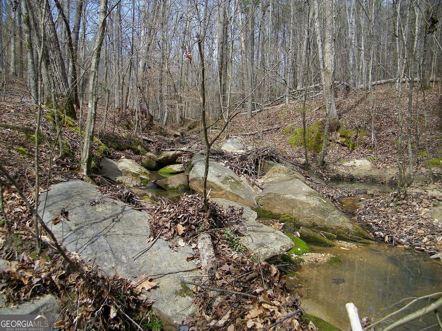 Lot 11 Blackberry Bend Property Photo 9