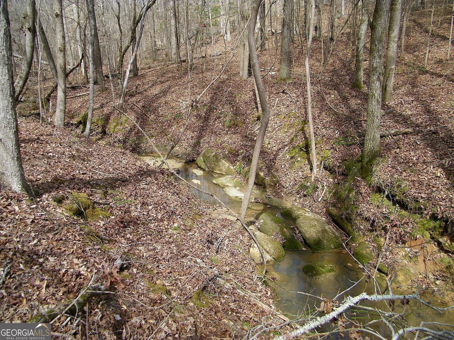 Lot 11 Blackberry Bend Property Photo 10