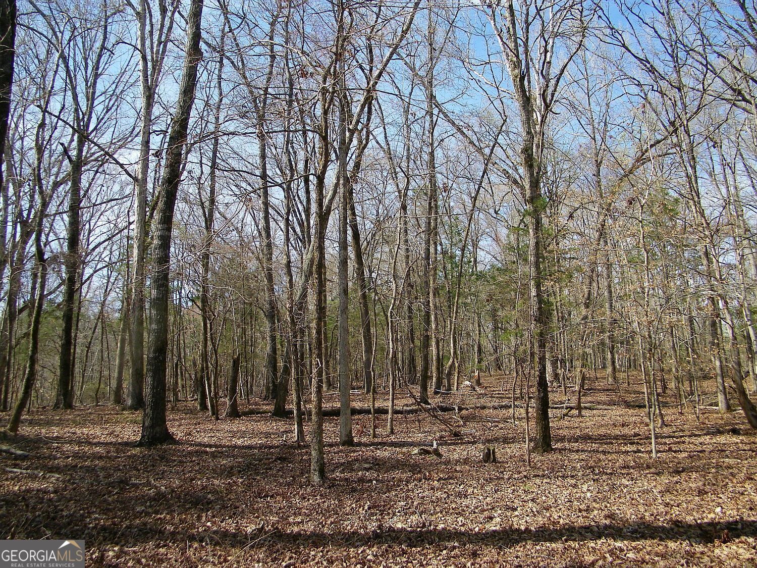 LOT 26 Benjamin Brown Court