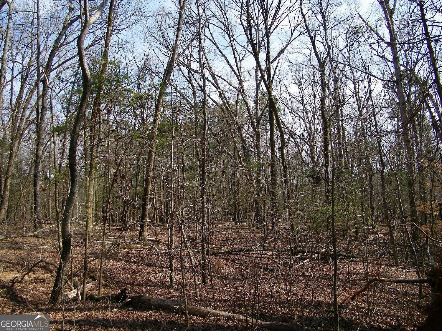 Lot 26 Benjamin Brown Court Property Photo 4
