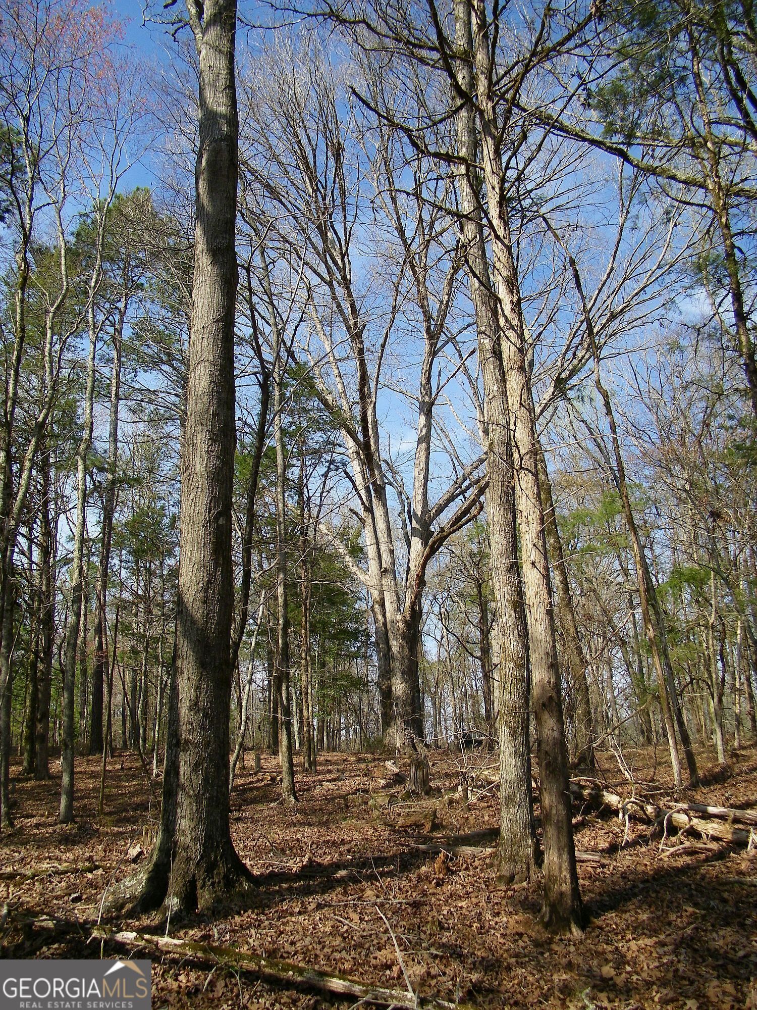 Lot 26 Benjamin Brown Court Property Photo 5