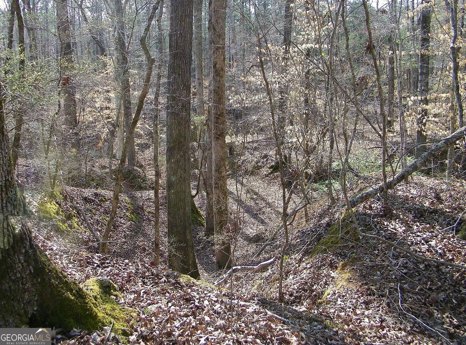 Lot 26 Benjamin Brown Court Property Photo 6