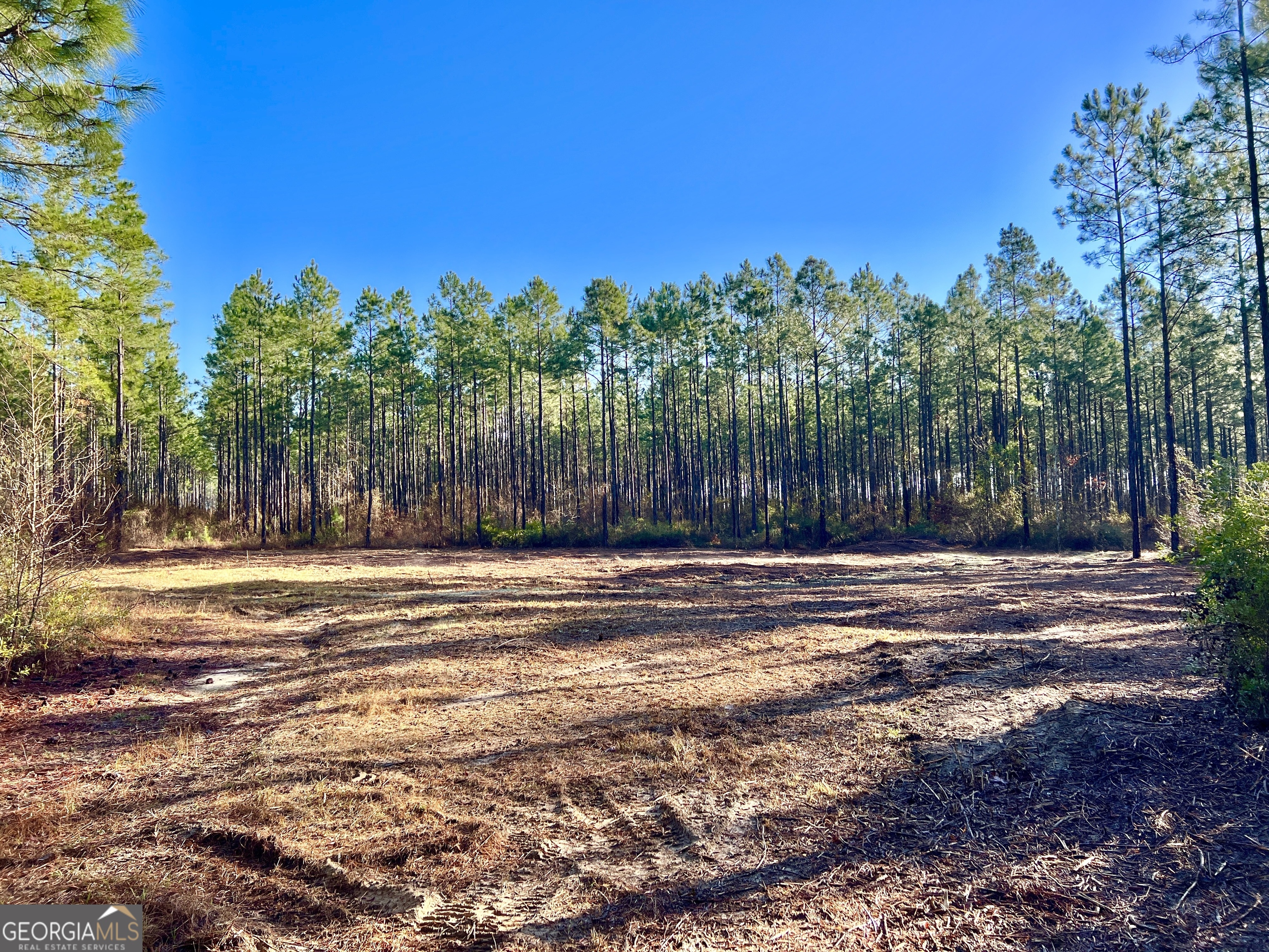 651 Yancey Road Property Photo 10