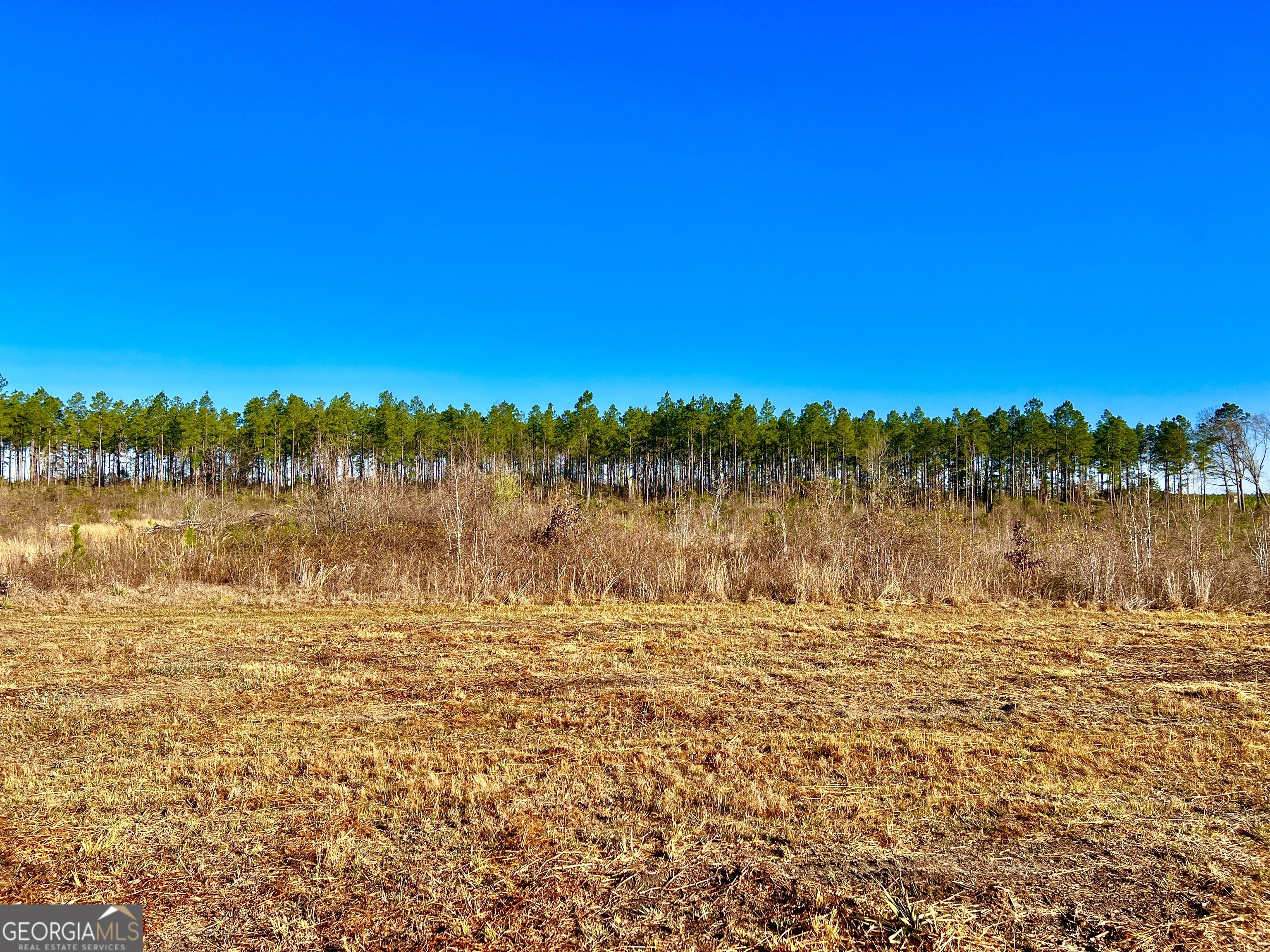 651 Yancey Road Property Photo 94