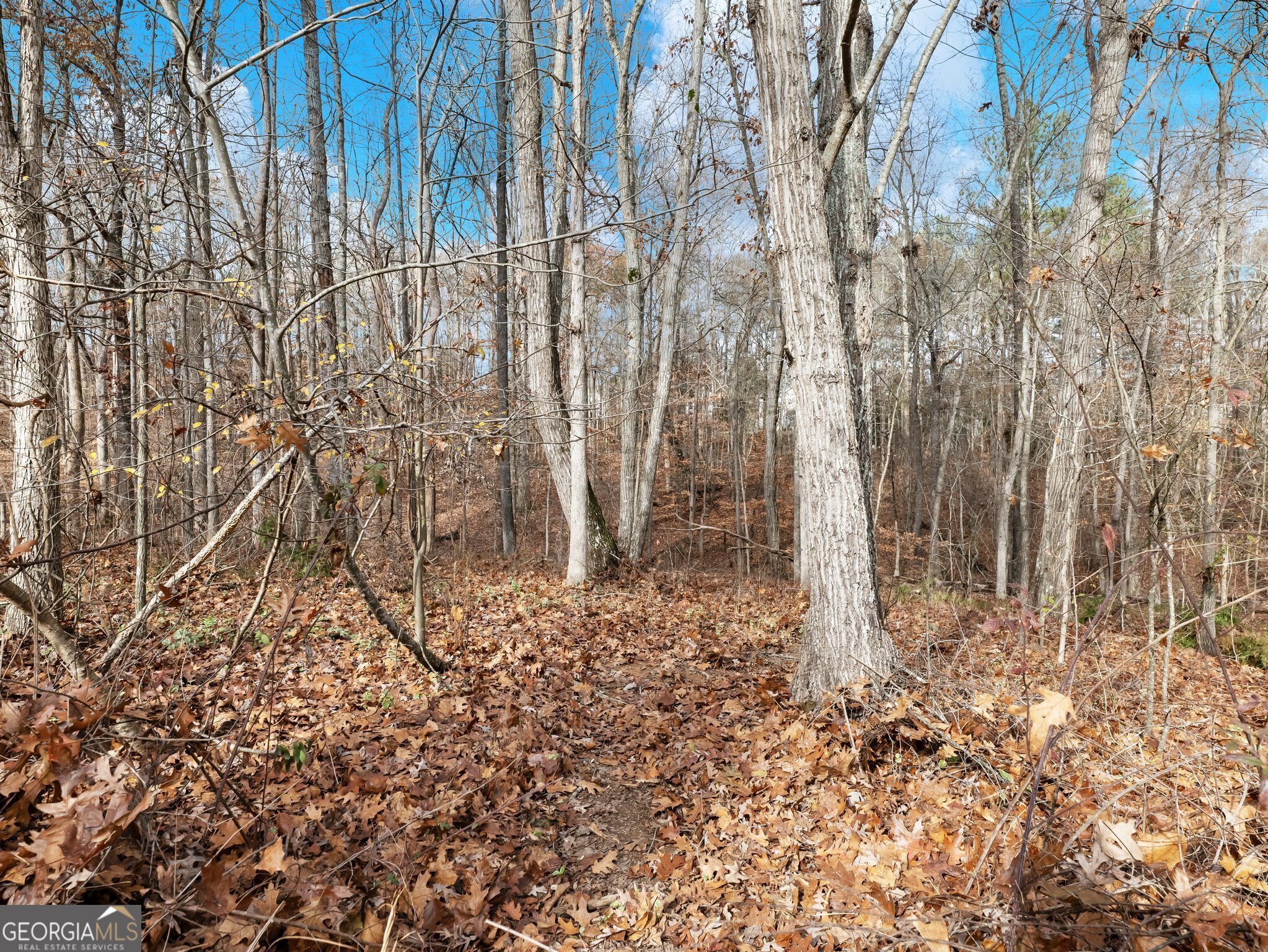 2536 Kachina Trail Property Photo 59