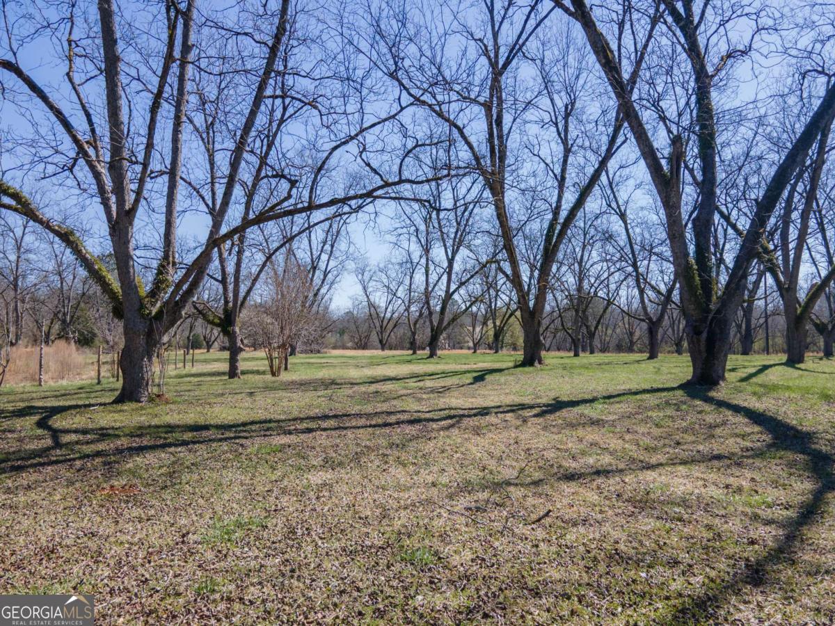 4153 Wallace Road Property Photo 3