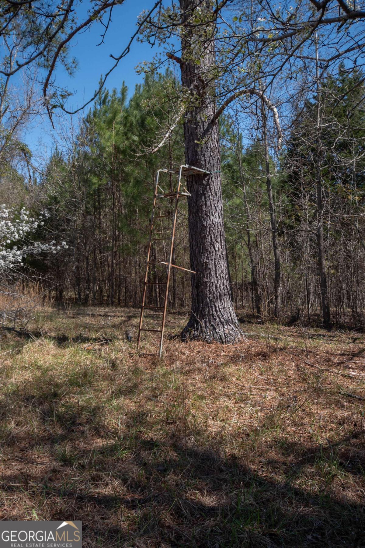 4153 Wallace Road Property Photo 41