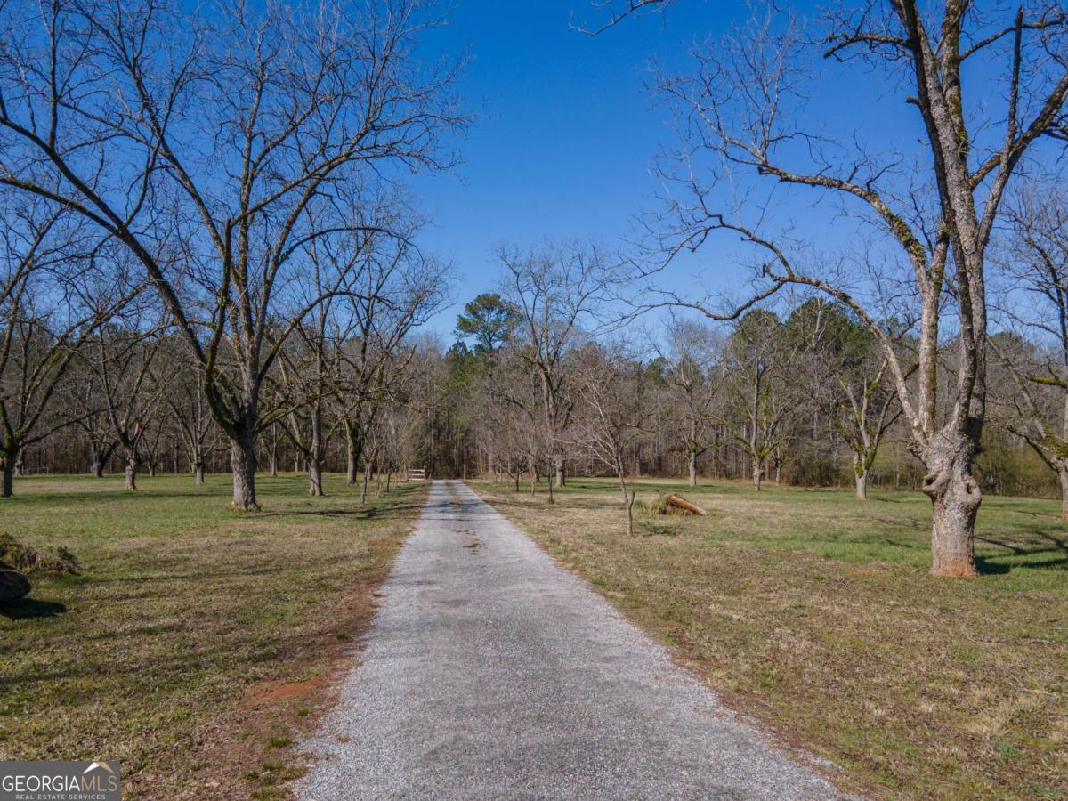 4153 Wallace Road Property Photo 46