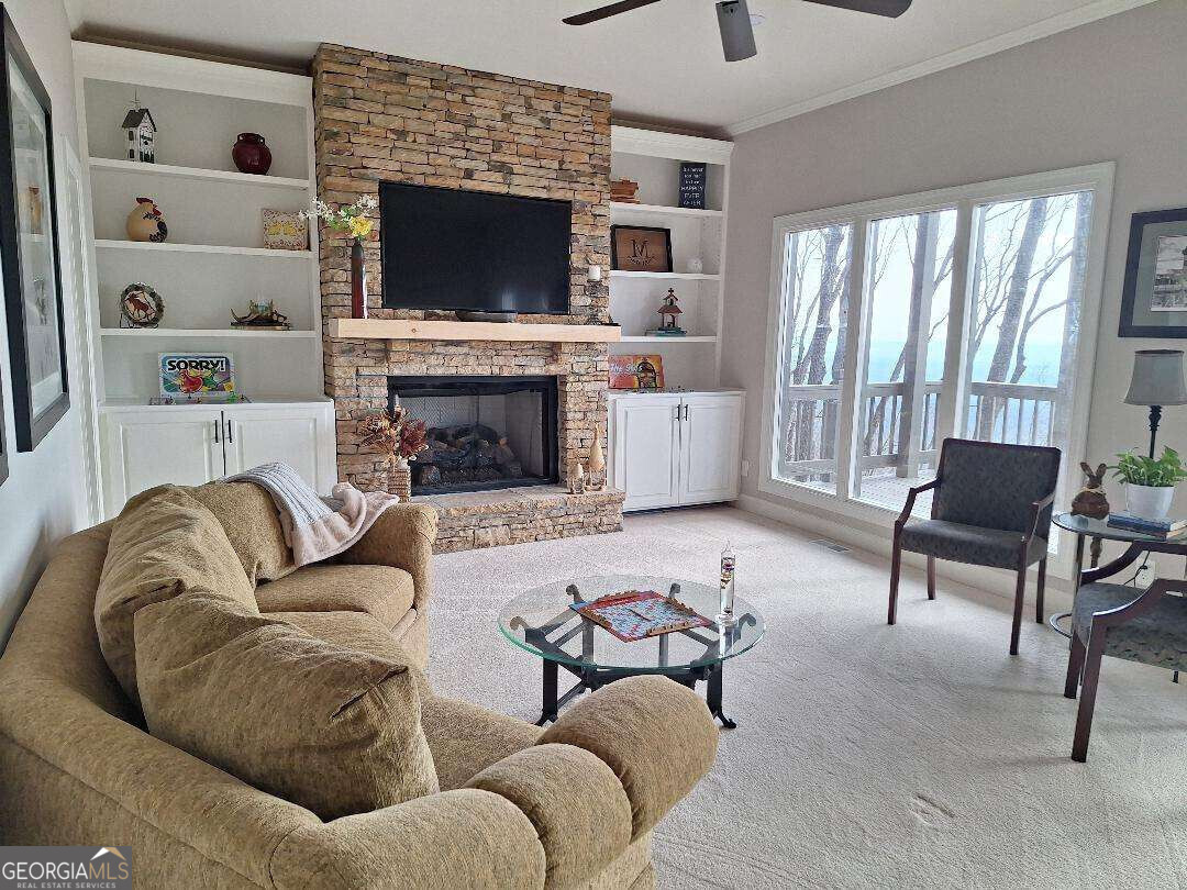 912 Mcelroy Mountain Drive Property Photo 19