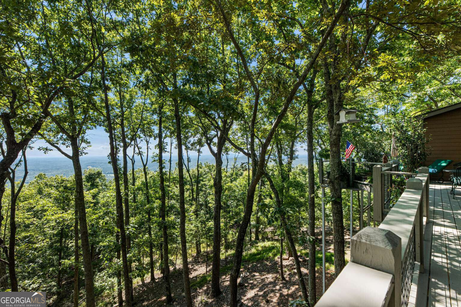 912 Mcelroy Mountain Drive Property Photo 24