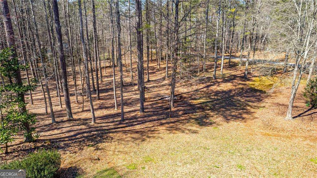 103 Eubanks Court Property Photo 61