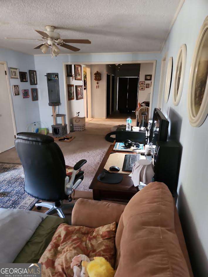 205 Ashley Street E Property Photo 12