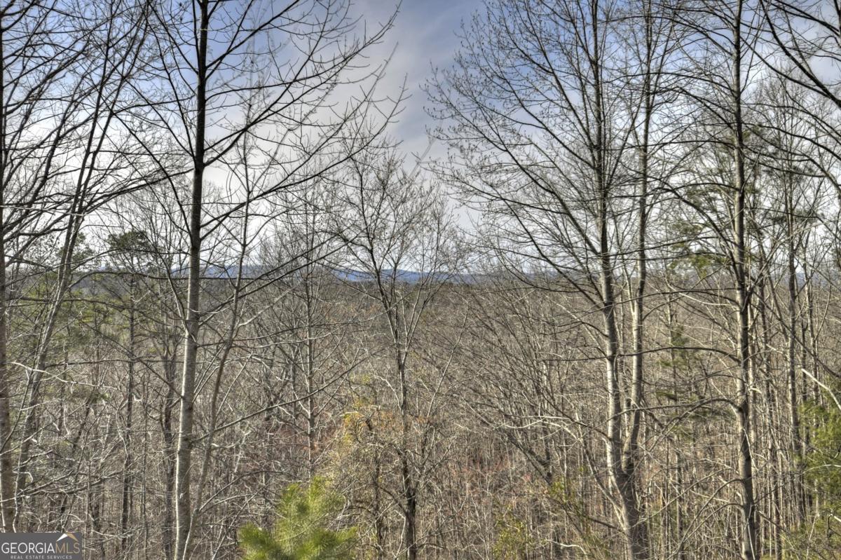 374 Cherokee Court Property Photo 16