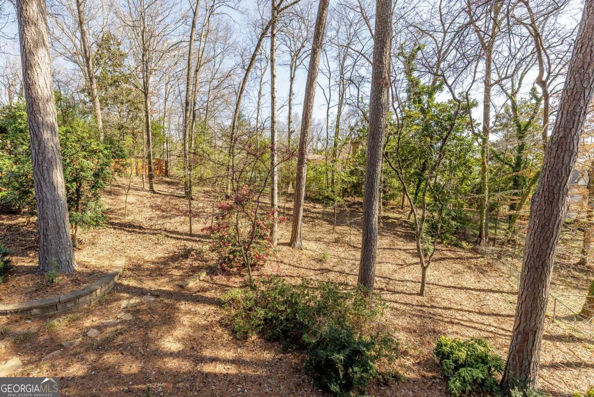 5385 Saffron Drive Property Photo 24